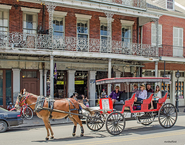 horse carriage ride new orleans