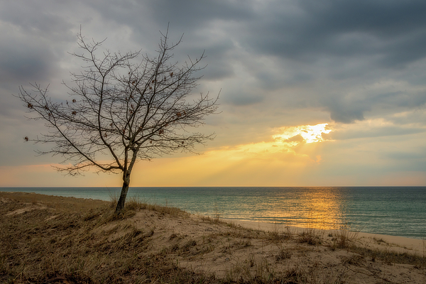 Great Lake Art