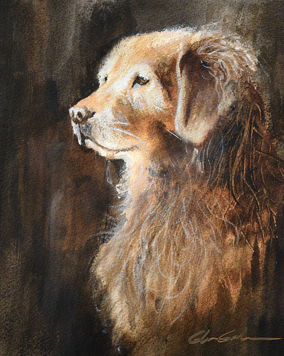 Golden Retriever Art