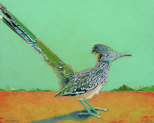 Bird Paintings