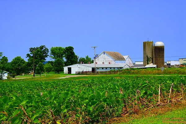 Lisa Wooten - Ohio Farm House 