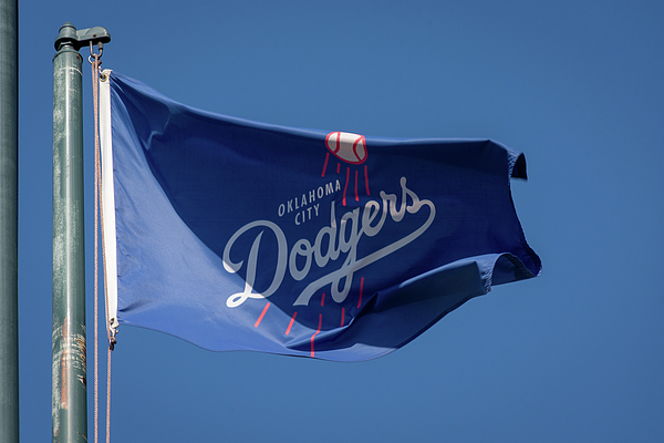 Dodger Baseball Flag T-Shirt