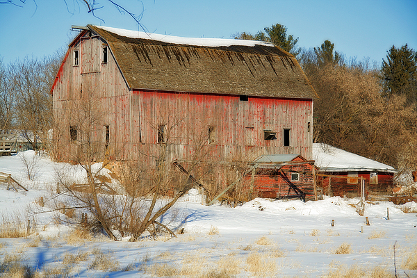 Old Red Barn On A Winter Afternoon by Laurie With