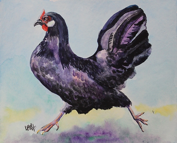 Chicken Art