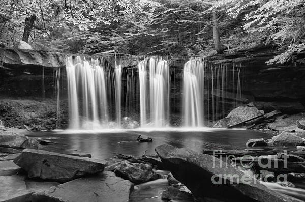 Black And White Photographs