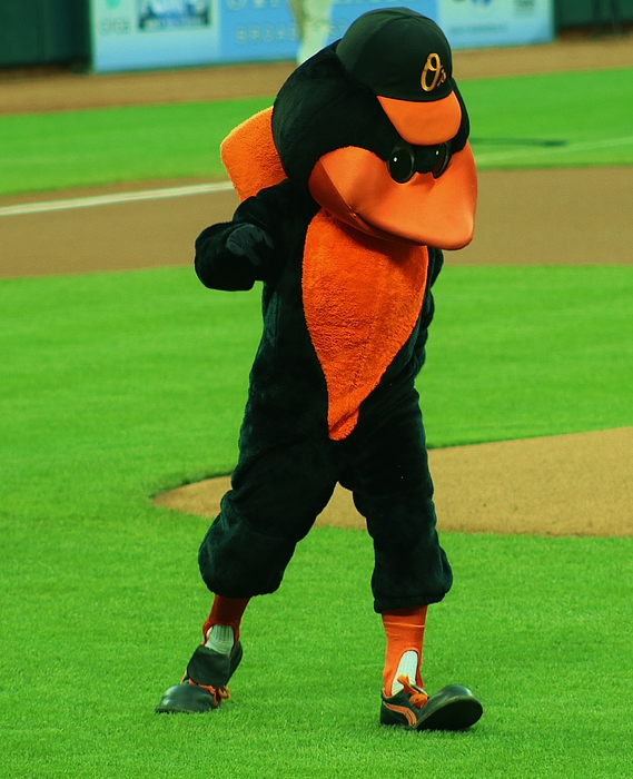 Christopher James - Orioles Mascot