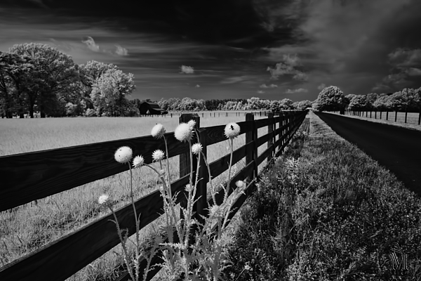 Landscape Photographs
