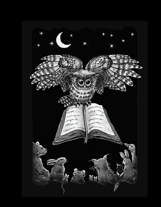 Owl And Friends Blackwhite Digital Art