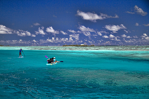 Paddling In Moorea Photograph