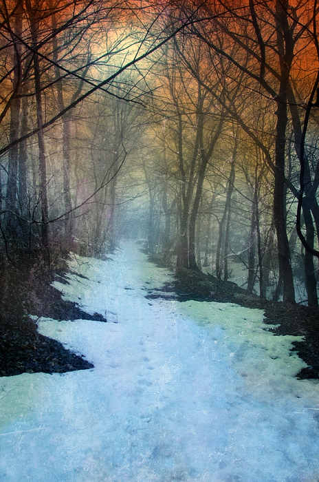 Path Through The Woods In Winter At Sunset Fleece Blanket For Sale By Jill Battaglia