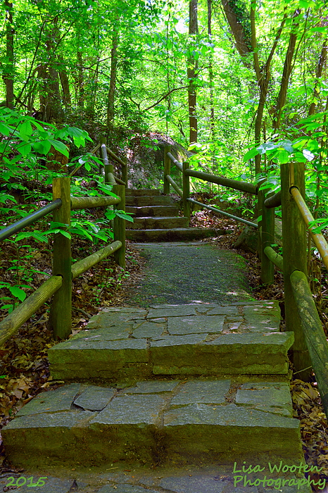Lisa Wooten - Pathway To Nature