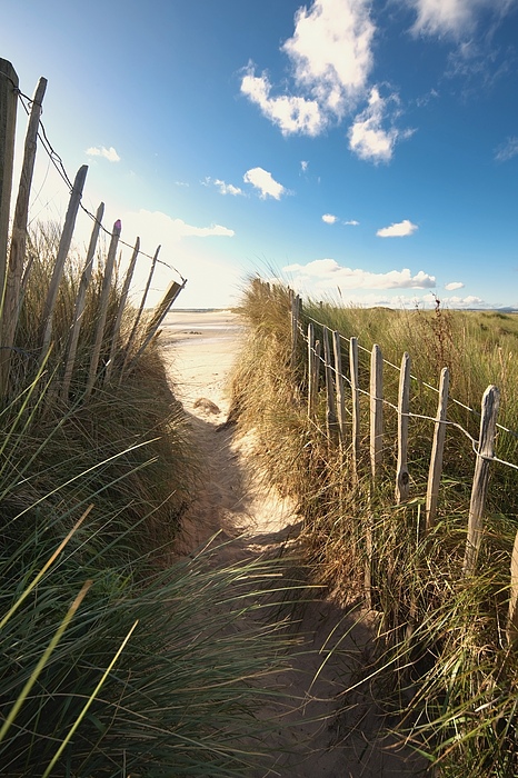 Pathway To The Beach, Beadnell Photograph