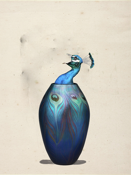 Peacock Vase Digital Art