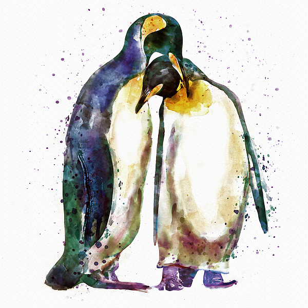 Marian Voicu - Penguin couple