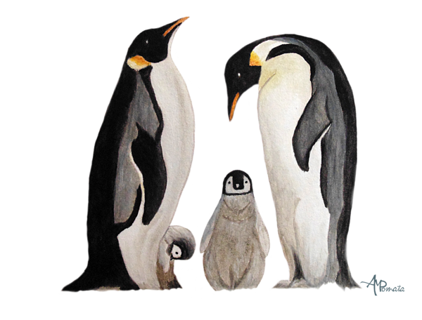 Beautiful watercolor Three Penguin Decals