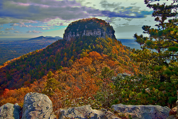 North Carolina Art