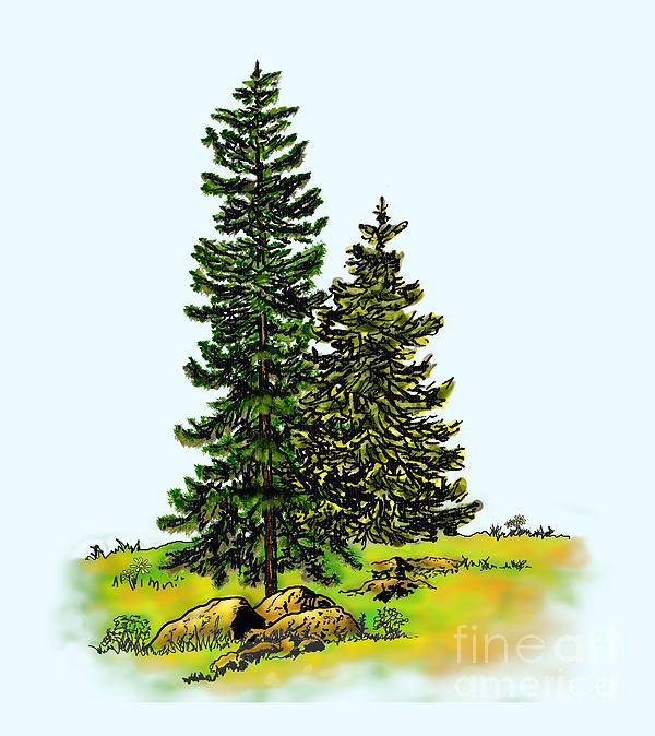 Pine Tree Nature Watercolor Ink Image 2b Mixed Media