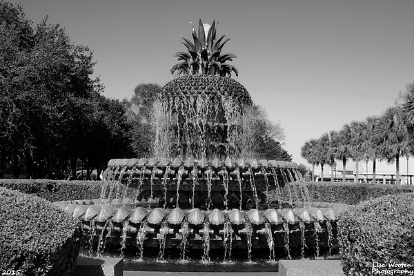 Lisa Wooten - Pineapple Fountain Charleston SC Black and White