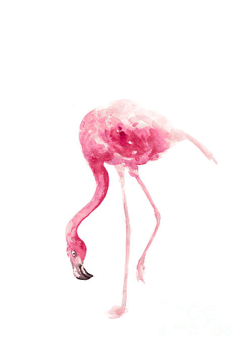 Drawing Flamingo Profile Picture