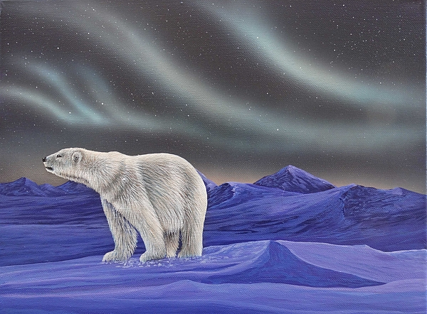 Polar Bear Night by Ronnie Simon