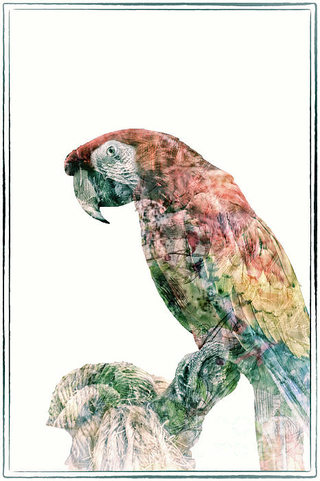 Animal Art