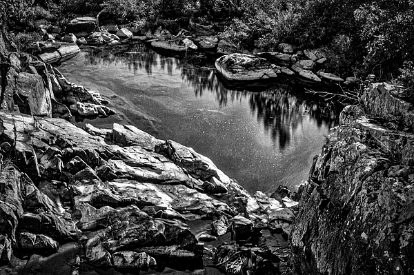 Stuart Litoff - Pond At Great Falls #3