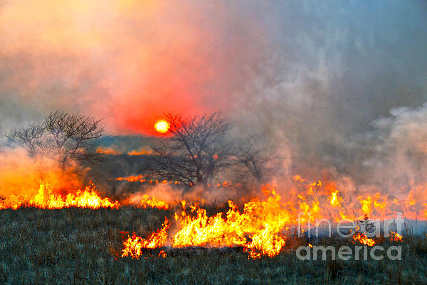 Catherine Sherman - Prairie Burn Sunset in Kansas