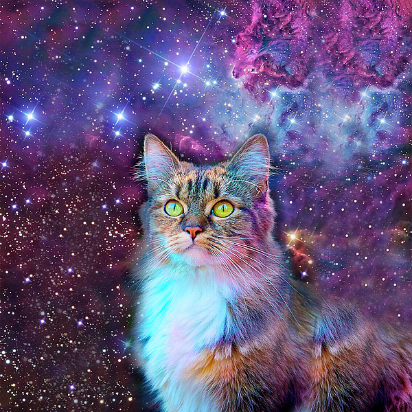 Proud Cat With Space Background Iphone X Case For Sale By Johnnie Art