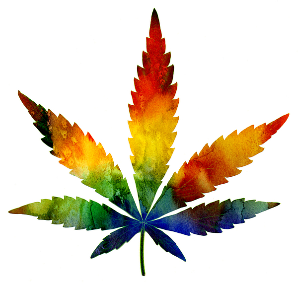 Pot Leaf Sticker Decal Hologram Psychedelic 420 Weed Cannabis Marijuana 4 x 4 Stickeroonie 