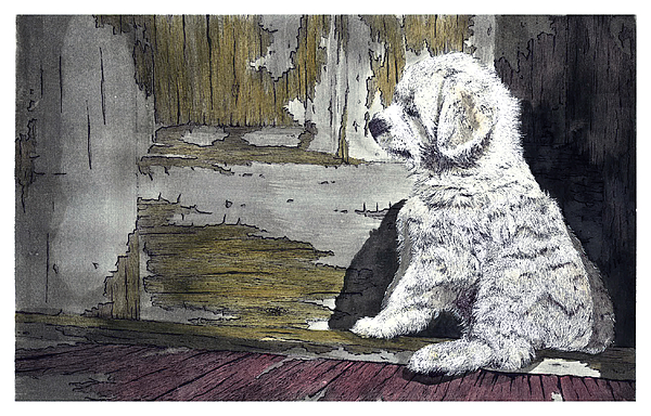 Dog Paintings