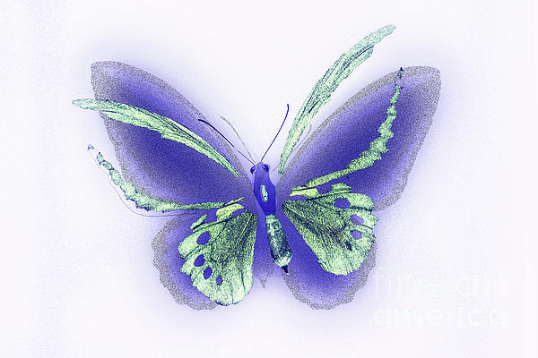 Anthony Ellis - Purple Butterfly