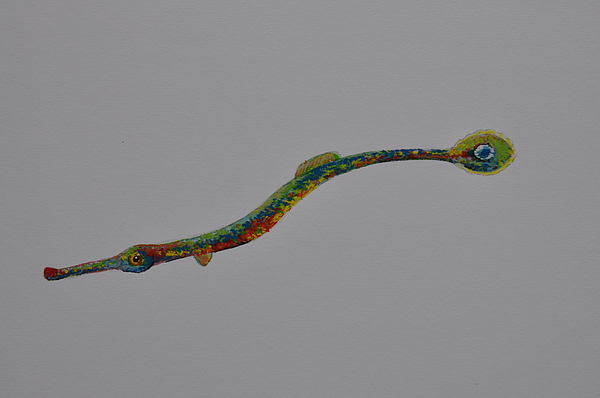 Seahorse Paintings