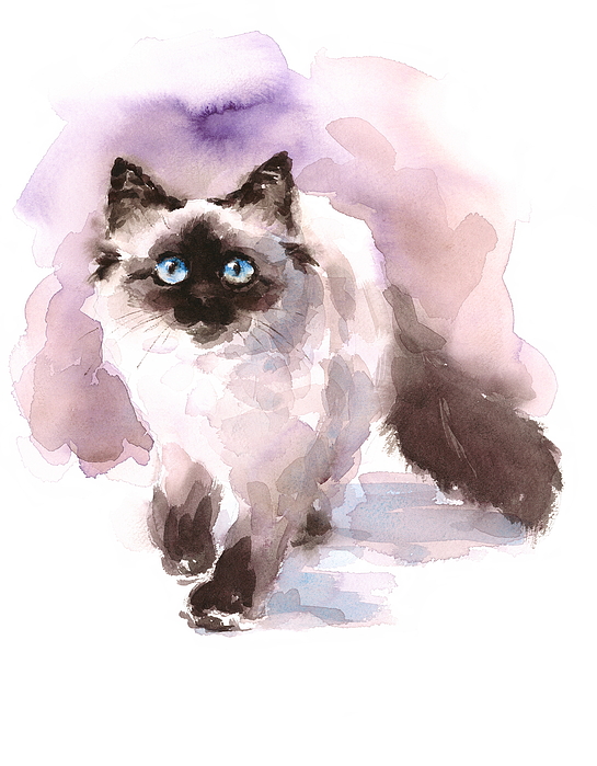 Ragdoll Cat - Watercolor paint Kids T-Shirt for Sale by