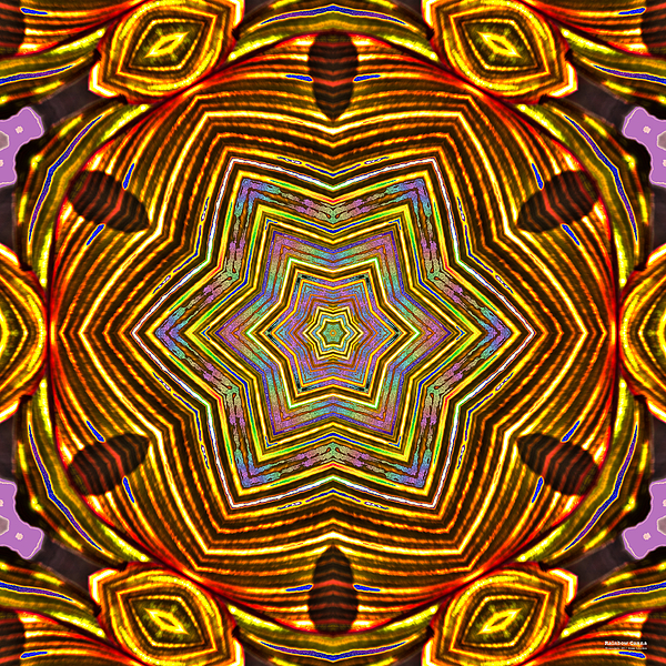 Pattern Digital+art