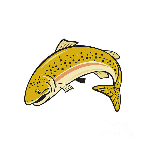 Rainbow Trout Jumping Cartoon Isolated by Aloysius Patrimonio