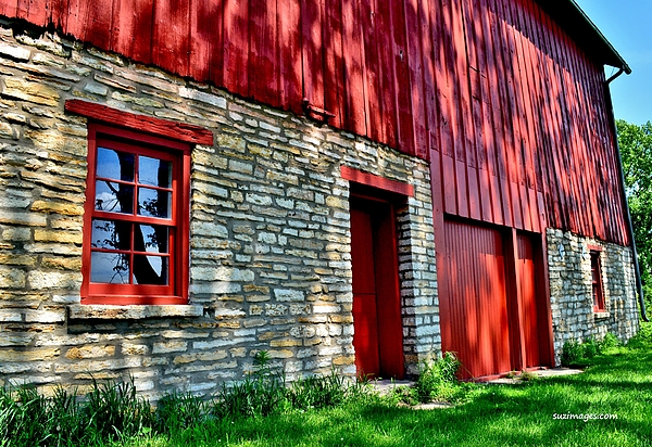 Summer Photographs