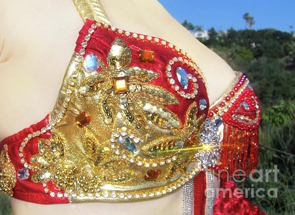 Ameynra belly dance costume bra with coins by Sofia Goldberg