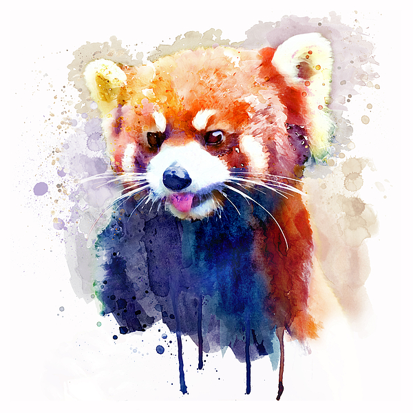 Marian Voicu - Red Panda Portrait