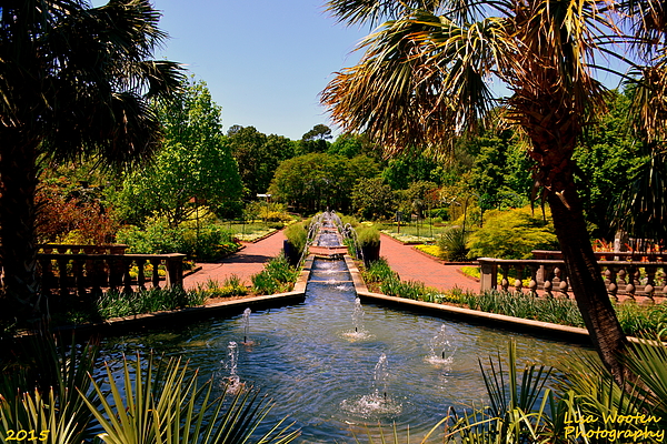 Lisa Wooten -  Botanical Gardens