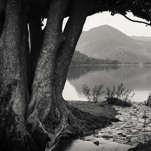 Dave Bowman -  Rivulet to Buttermere