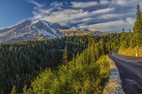 Washington Art