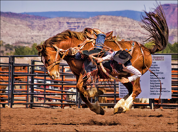 rodeo horse hair