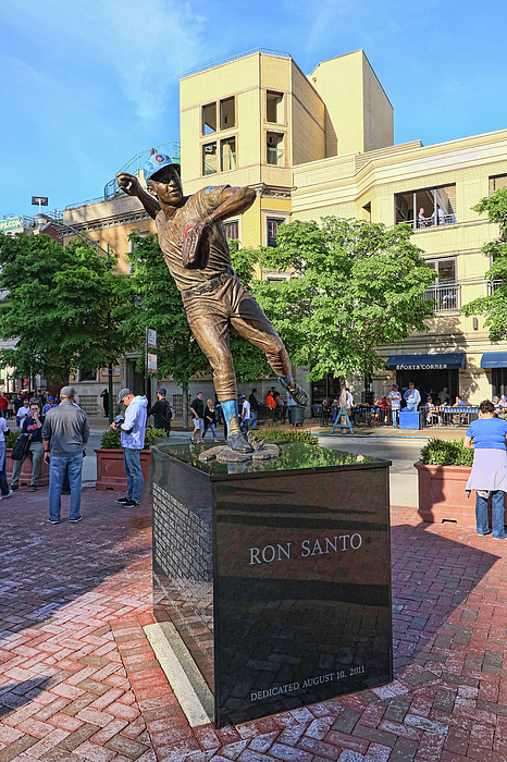 Ron Santo # 3 Photograph by Allen Beatty - Pixels