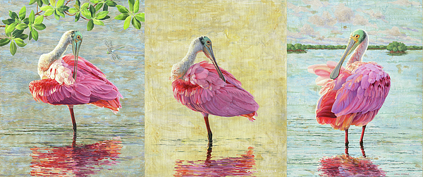 https://images.fineartamerica.com/images/artworkimages/medium/1/roseate-spoonbill-panoramic-carol-mcardle.jpg