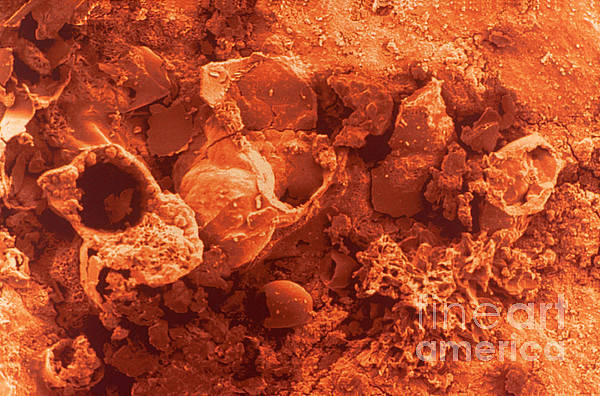 Rust On Iron Jigsaw Puzzle by Scimat - Science Source Prints