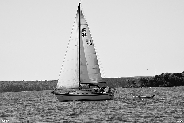 Lisa Wooten - Sailing On Lake Murray S C Black And White