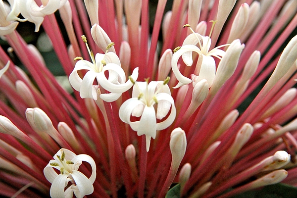 Nature Photographs