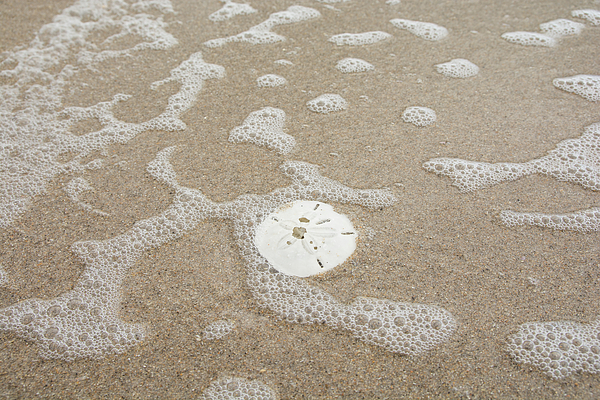 Summer Art