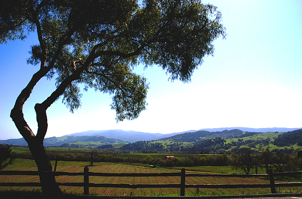 Santa Inez Valley View Photograph