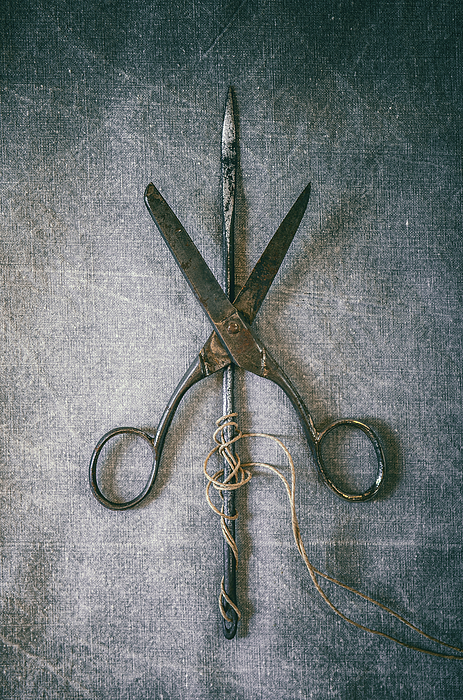 Old Scissors Tapestry by Carlos Caetano - Fine Art America